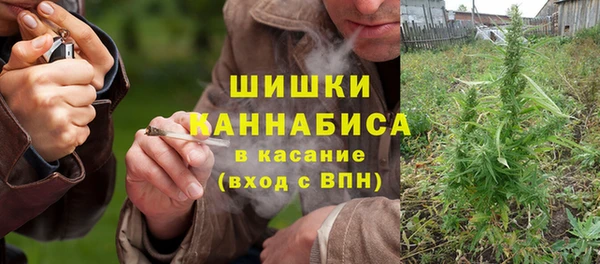 мдпв Волоколамск