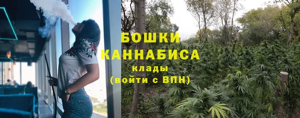 мдпв Волоколамск